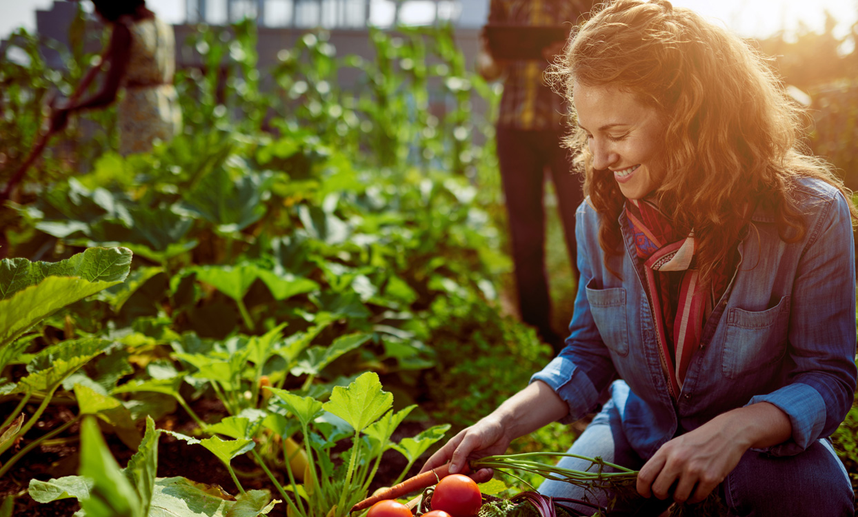 La Garden Therapy per aiutarvi a vivere meglio
